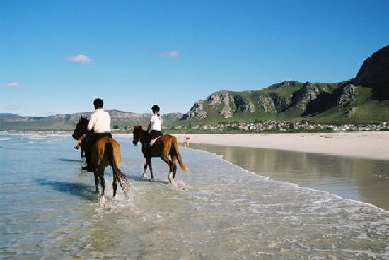 Dawn'S Place Hermanus Buitenkant foto